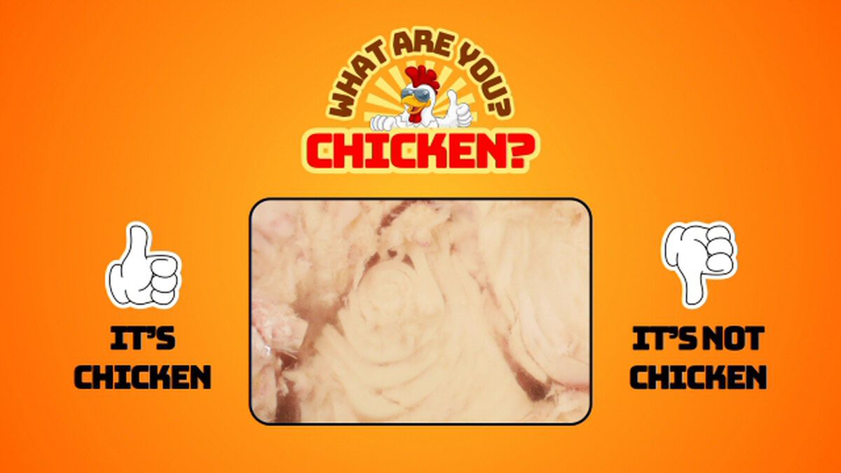 What Are You? Chicken? image number null